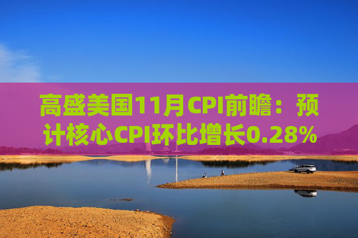 高盛美国11月CPI前瞻：预计核心CPI环比增长0.28%，低于市场预期