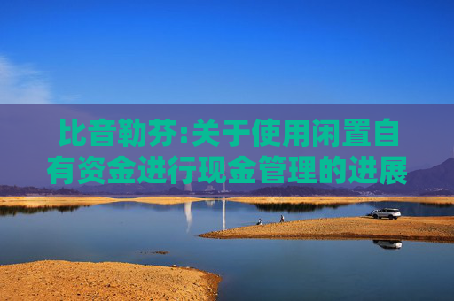 比音勒芬:关于使用闲置自有资金进行现金管理的进展公告