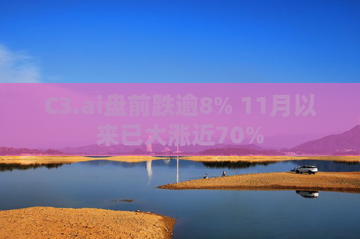 C3.ai盘前跌逾8% 11月以来已大涨近70%