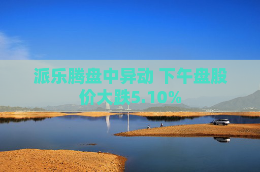 派乐腾盘中异动 下午盘股价大跌5.10%