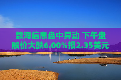 数海信息盘中异动 下午盘股价大跌6.00%报2.35美元