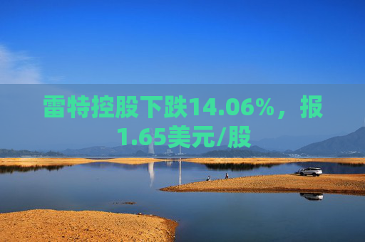 雷特控股下跌14.06%，报1.65美元/股