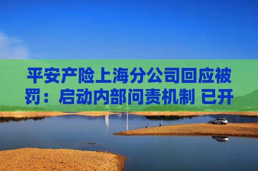 平安产险上海分公司回应被罚：启动内部问责机制 已开展整改工作