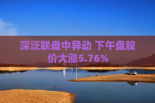 深泛联盘中异动 下午盘股价大涨5.76%