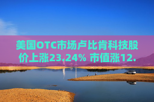 美国OTC市场卢比肯科技股价上涨23.24% 市值涨12.3万美元