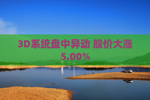 3D系统盘中异动 股价大涨5.00%