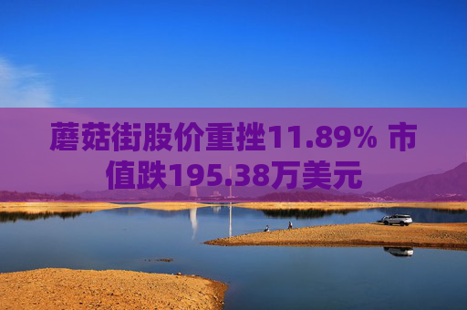 蘑菇街股价重挫11.89% 市值跌195.38万美元