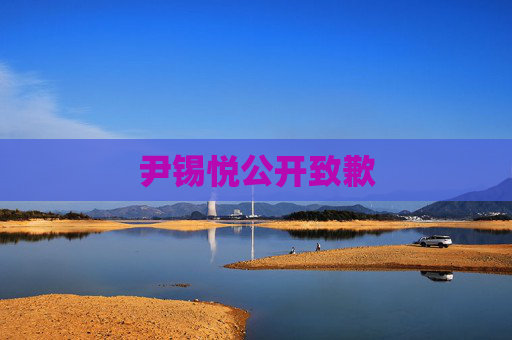 尹锡悦公开致歉