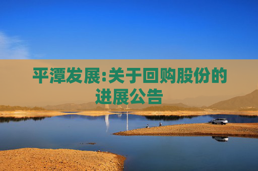 平潭发展:关于回购股份的进展公告