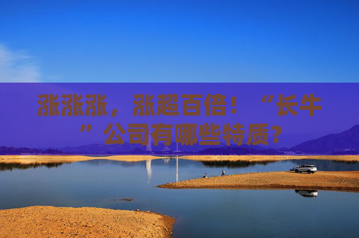 涨涨涨，涨超百倍！“长牛”公司有哪些特质？