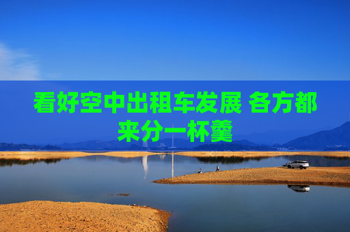 看好空中出租车发展 各方都来分一杯羹