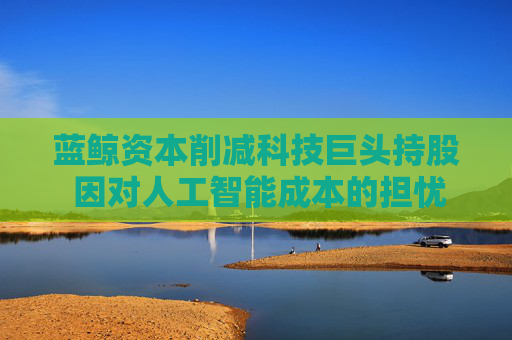 蓝鲸资本削减科技巨头持股 因对人工智能成本的担忧