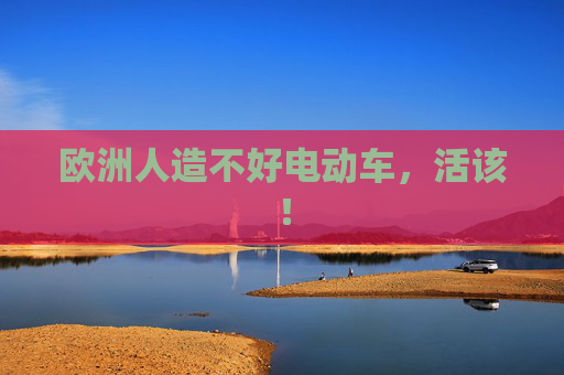 欧洲人造不好电动车，活该！