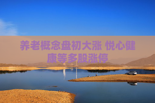 养老概念盘初大涨 悦心健康等多股涨停