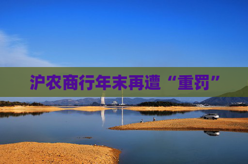 沪农商行年末再遭“重罚”