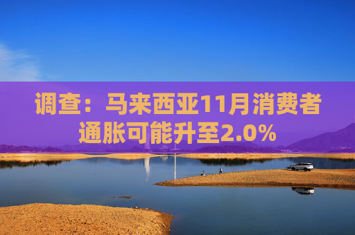 调查：马来西亚11月消费者通胀可能升至2.0%