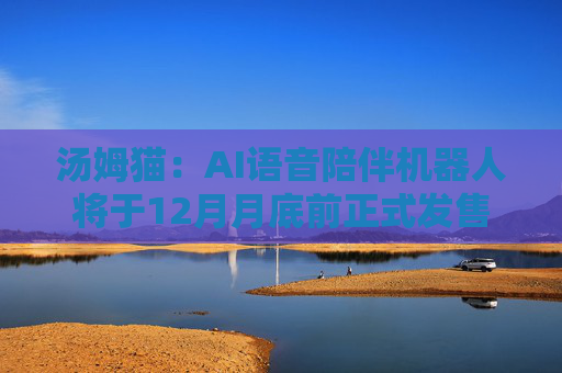 汤姆猫：AI语音陪伴机器人将于12月月底前正式发售