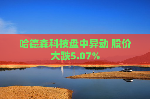 哈德森科技盘中异动 股价大跌5.07%