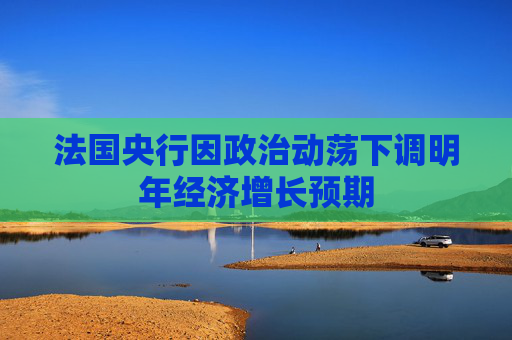 法国央行因政治动荡下调明年经济增长预期