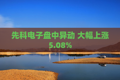 先科电子盘中异动 大幅上涨5.08%