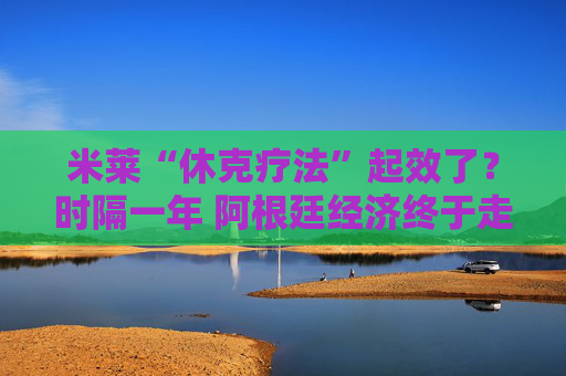 米莱“休克疗法”起效了？时隔一年 阿根廷经济终于走出衰退