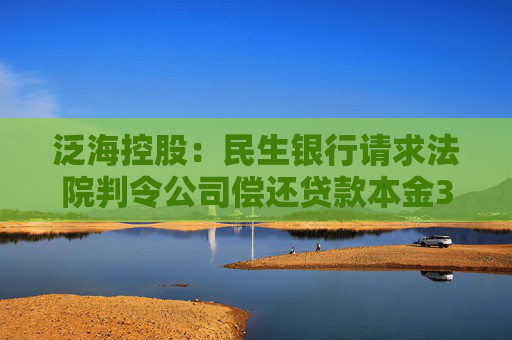 泛海控股：民生银行请求法院判令公司偿还贷款本金3亿元及利息等费用
