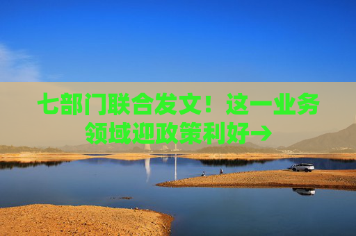 七部门联合发文！这一业务领域迎政策利好→