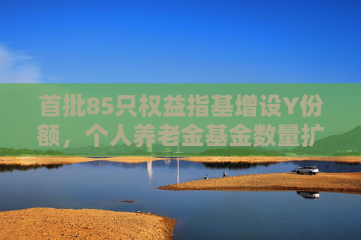 首批85只权益指基增设Y份额，个人养老金基金数量扩至284只