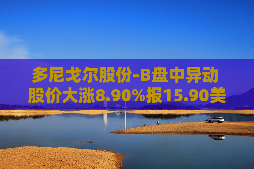多尼戈尔股份-B盘中异动 股价大涨8.90%报15.90美元