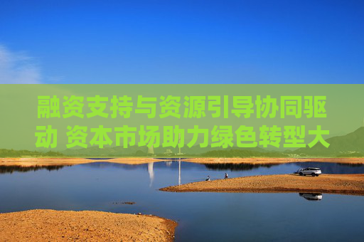融资支持与资源引导协同驱动 资本市场助力绿色转型大有可为