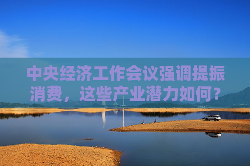 中央经济工作会议强调提振消费，这些产业潜力如何？