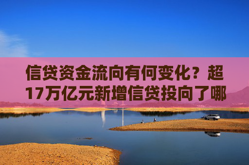 信贷资金流向有何变化？超17万亿元新增信贷投向了哪里？