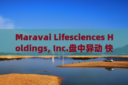 Maravai Lifesciences Holdings, Inc.盘中异动 快速跳水5.02%