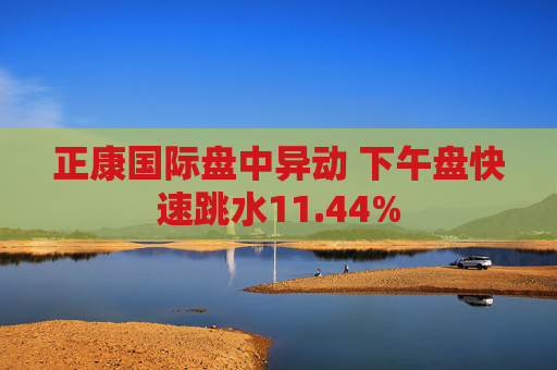 正康国际盘中异动 下午盘快速跳水11.44%