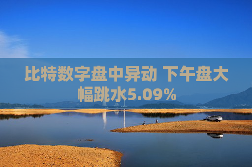 比特数字盘中异动 下午盘大幅跳水5.09%