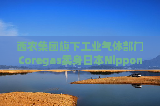 西农集团旗下工业气体部门Coregas卖身日本Nippon Sanso 作价4.8亿美元