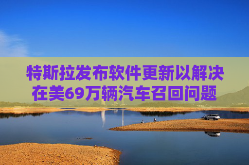特斯拉发布软件更新以解决在美69万辆汽车召回问题