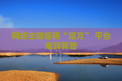 网络主播偷税“塌方” 平台难辞其咎