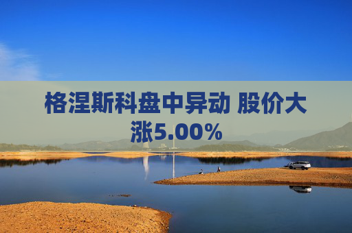 格涅斯科盘中异动 股价大涨5.00%