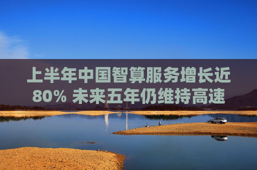 上半年中国智算服务增长近80% 未来五年仍维持高速发展