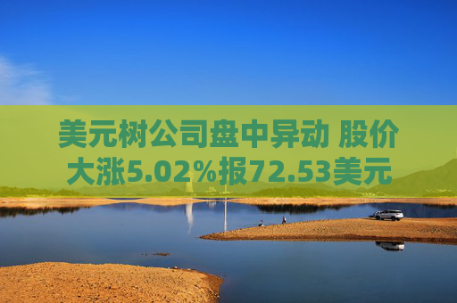美元树公司盘中异动 股价大涨5.02%报72.53美元