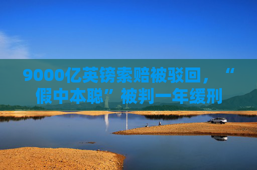 9000亿英镑索赔被驳回，“假中本聪”被判一年缓刑