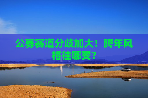 公募赛道分歧加大！跨年风格往哪变？