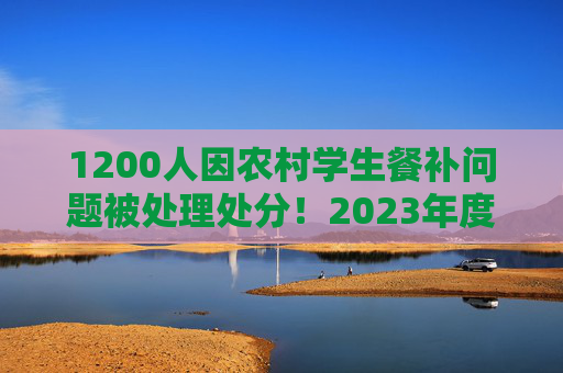 1200人因农村学生餐补问题被处理处分！2023年度审计整改报告发布