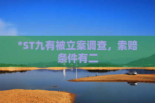 *ST九有被立案调查，索赔条件有二