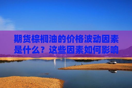 期货棕榈油的价格波动因素是什么？这些因素如何影响投资策略？