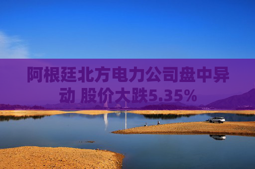 阿根廷北方电力公司盘中异动 股价大跌5.35%