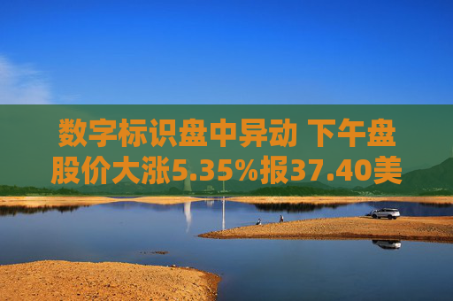 数字标识盘中异动 下午盘股价大涨5.35%报37.40美元