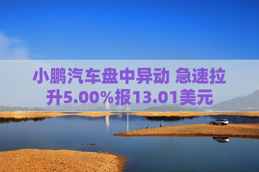 小鹏汽车盘中异动 急速拉升5.00%报13.01美元
