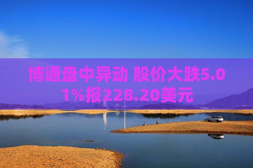 博通盘中异动 股价大跌5.01%报228.20美元